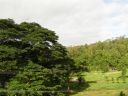 PICT0243.JPG