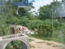 PICT0244.JPG