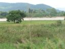 PICT0280.JPG