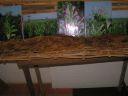 PICT0399.JPG