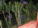 PICT0413.JPG