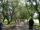 PICT0486.JPG