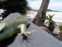 PICT0967.JPG
