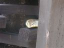 PICT0970.JPG