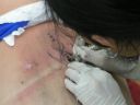 PICT1083.JPG