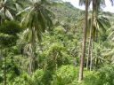 PICT1271.JPG